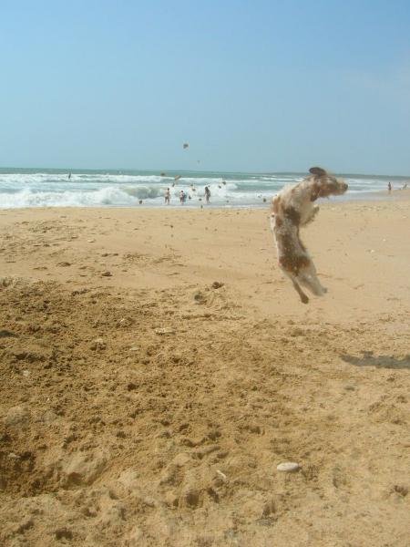YEAH free style