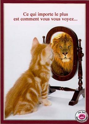 conseil