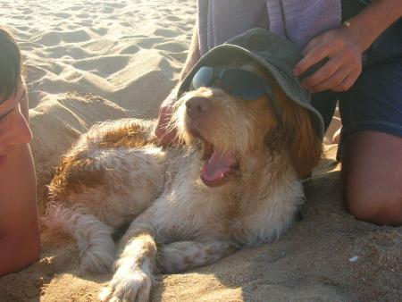 Toujours dans le theme de la plage ...